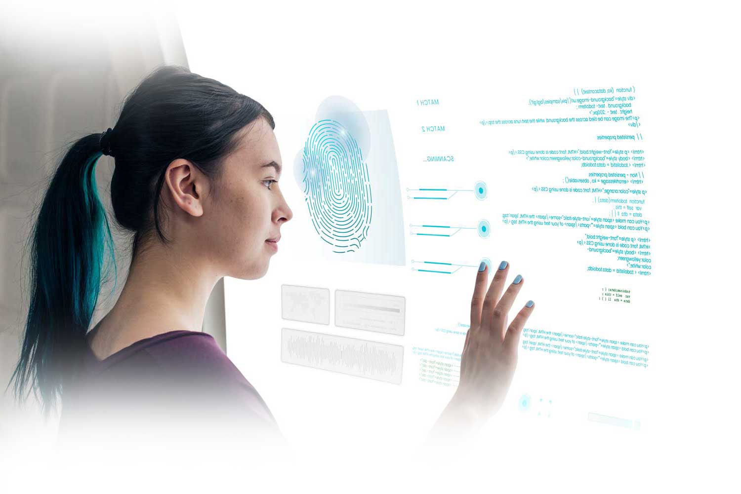 Government welfare biometric verification
