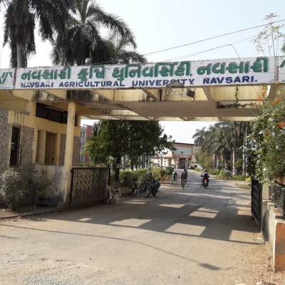 navsari