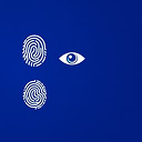 Biometric Adjudication